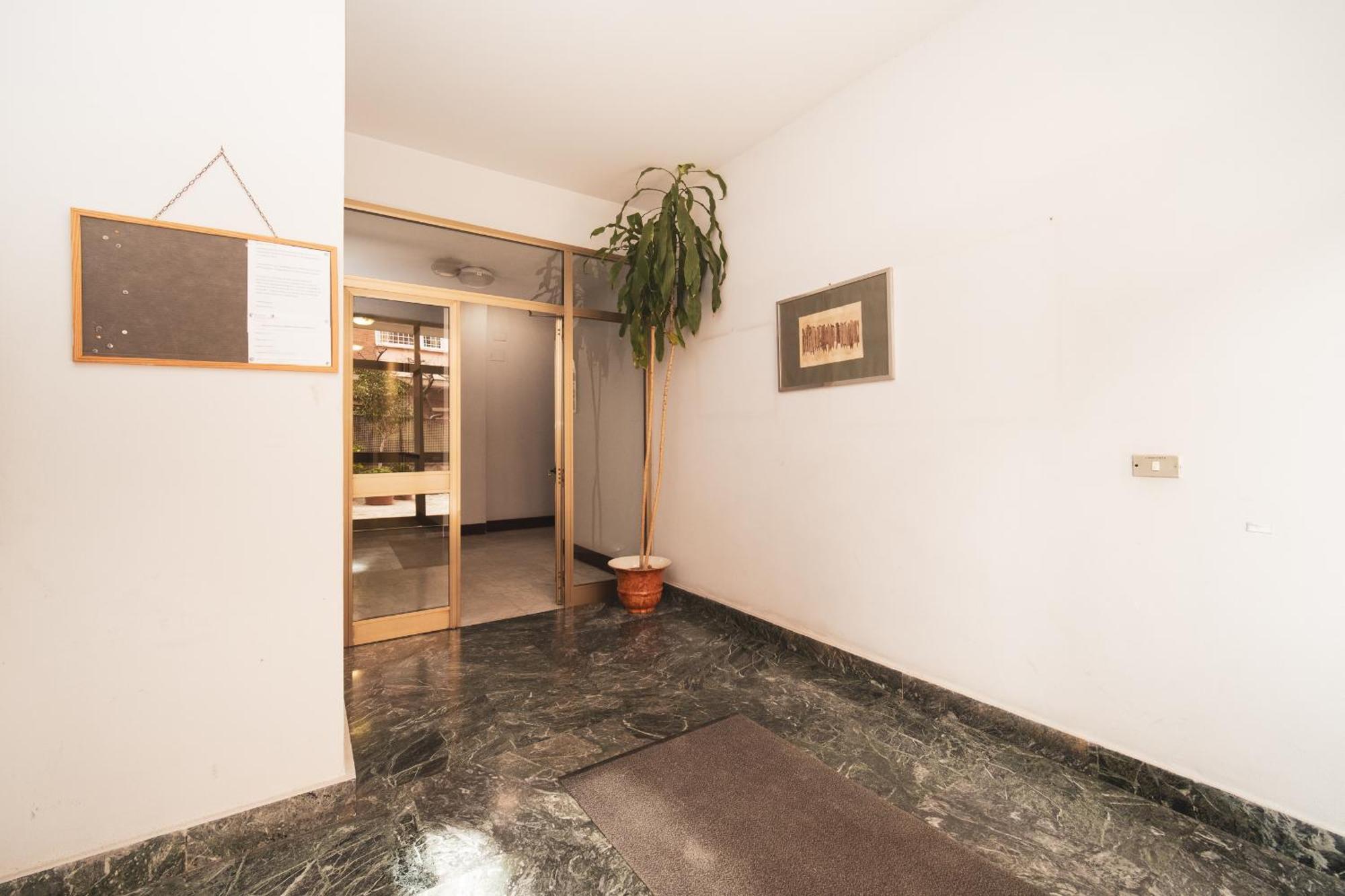 Green Hill Buddyrent'S Roma Exterior foto
